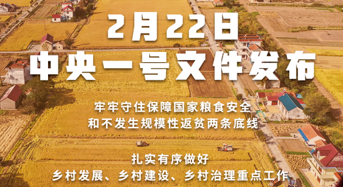 2022年中央一號(hào)文件發(fā)布！接續(xù)實(shí)施農(nóng)村人居環(huán)境整治提升五年行動(dòng)