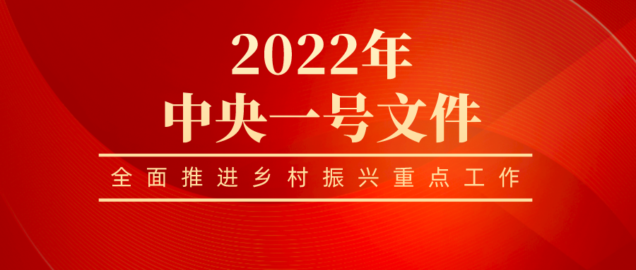 國(guó)新辦發(fā)布會(huì)解讀中央一號(hào)文件：鄉(xiāng)村振興求好不求快