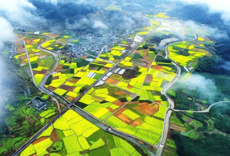 支持社會資本投資農(nóng)村人居環(huán)境整治，《社會資本投資農(nóng)業(yè)農(nóng)村指引（2022年）》發(fā)布