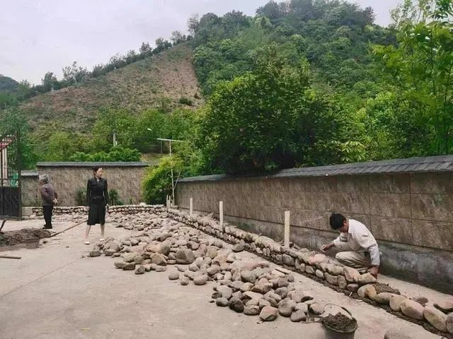 共富“重頭戲”！臨安朱灣村與九耕“牽手”打造“五星生態(tài)農(nóng)場”