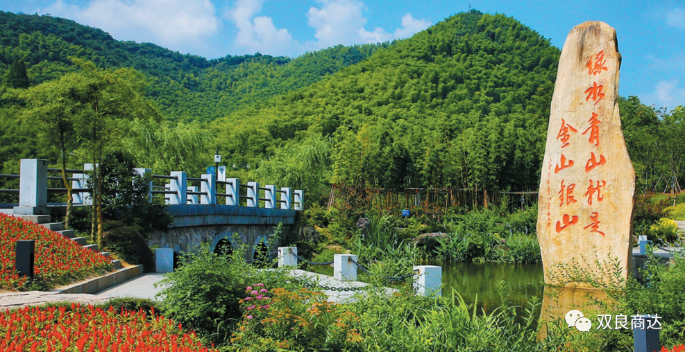 臥虎藏龍取景地，安吉大竹海！商達(dá)五鶴村農(nóng)村污水示范站點(diǎn)投入試運(yùn)行