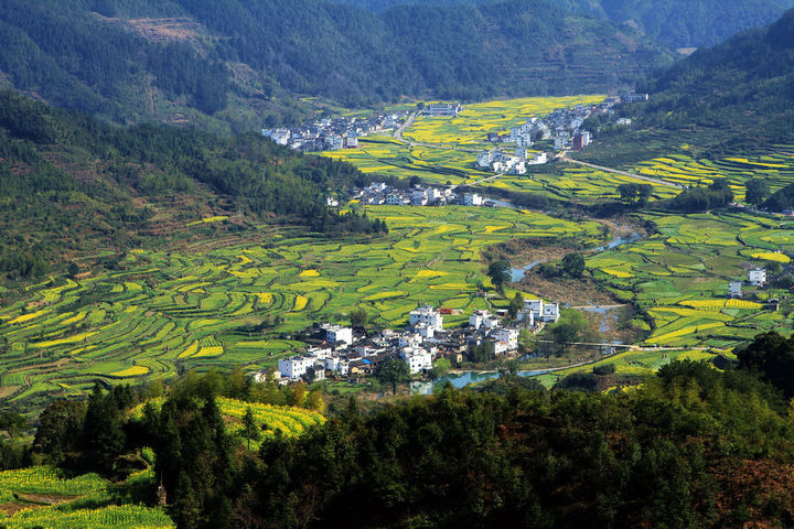 浙江省：新增農(nóng)村行政村環(huán)境整治1100個，基本消除農(nóng)村黑臭水體