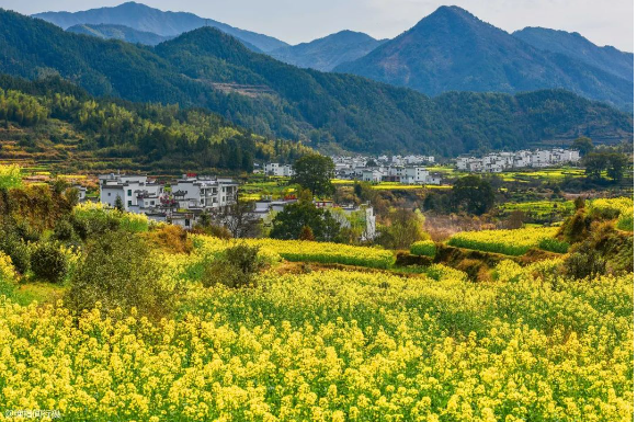 2025 年新增完成 1600 個(gè)行政村環(huán)境整治，廣西發(fā)布《農(nóng)業(yè)農(nóng)村污染治理攻堅(jiān)戰(zhàn)實(shí)施方案（2021—2025年）》