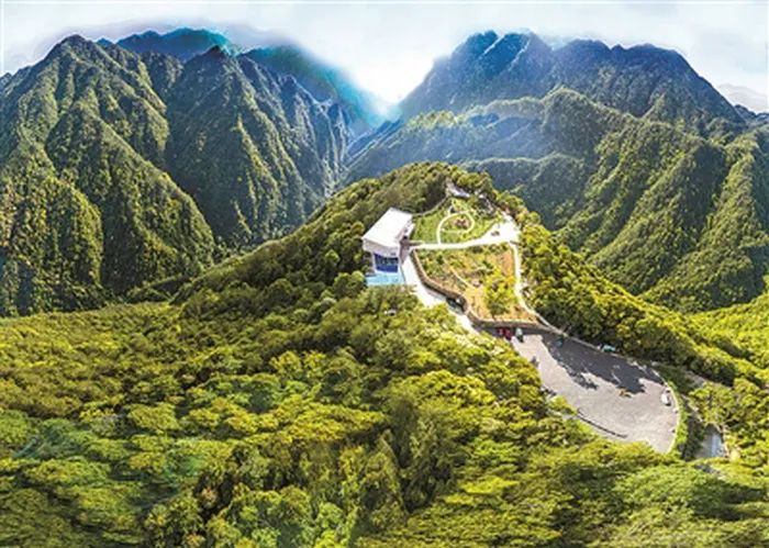 中國綠色時(shí)報(bào)：鋪實(shí)浙江“共富路” 林業(yè)跑出“加速度”