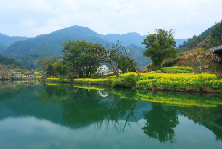 我國(guó)農(nóng)村生活污水治理政策法律體系發(fā)展現(xiàn)狀與建議