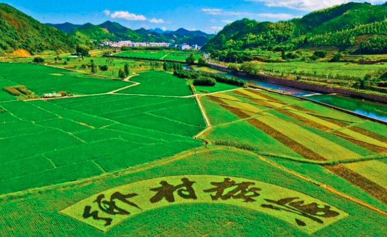 鄉(xiāng)村振興規(guī)劃實(shí)施進(jìn)展如何？這場(chǎng)發(fā)布會(huì)劃重點(diǎn)：系統(tǒng)治理優(yōu)生態(tài)