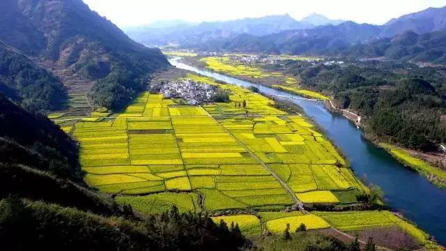 中央經濟工作會議要求，在落實碳達峰碳中和目標任務過程中鍛造新的產業(yè)競爭優(yōu)勢