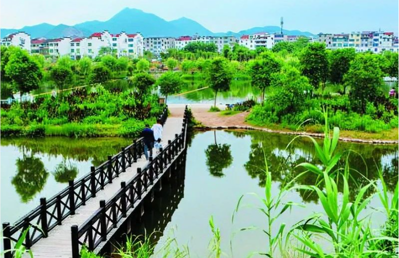 《中國環(huán)境報(bào)》頭版頭條：浙江構(gòu)建降碳、減污、擴(kuò)綠、增長(zhǎng)整體智治體系