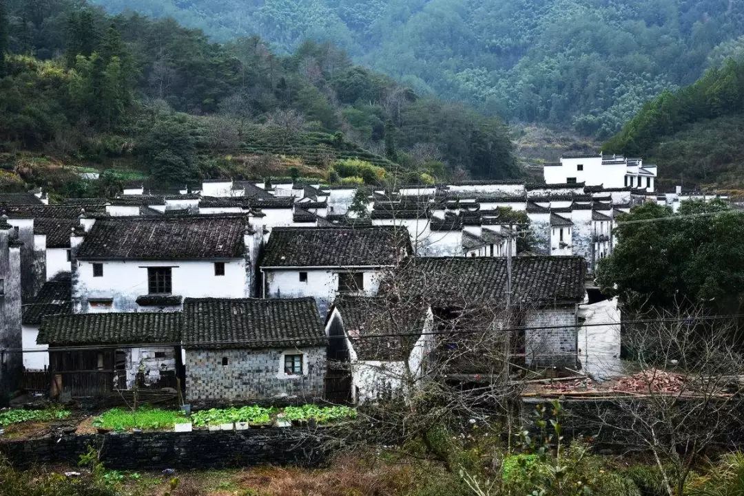 七部門明確！在農(nóng)村人居環(huán)境整治提升中統(tǒng)籌考慮減污降碳要求
