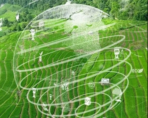 農(nóng)業(yè)碳匯加速入局碳交易，農(nóng)產(chǎn)品固碳價值“變現(xiàn)”可期