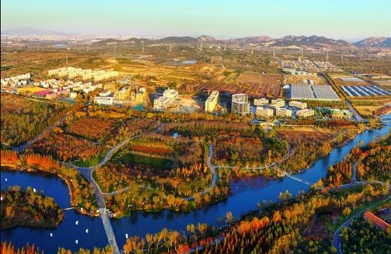 什么是農(nóng)村生活污水全域治理的“青島速度”？