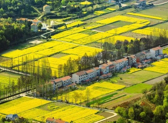 2025年治理率達到65.76%以上，武漢市農(nóng)村生活污水治理三年行動實施方案發(fā)布