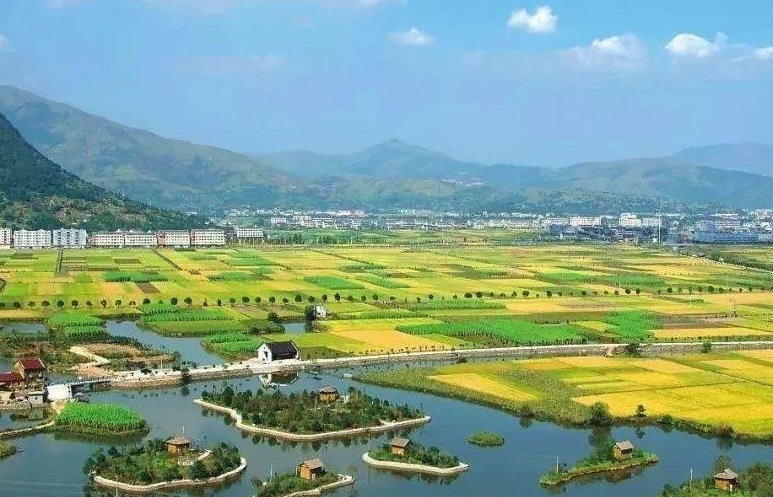 鄉(xiāng)村振興工作滯后，約談！江西省委、省政府發(fā)布《江西省鄉(xiāng)村振興責(zé)任制實施細(xì)則》