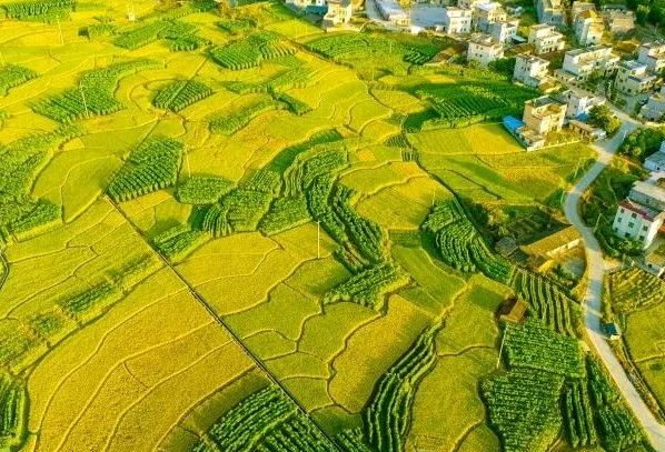 農村污水處理：不同省份如何因地制宜？