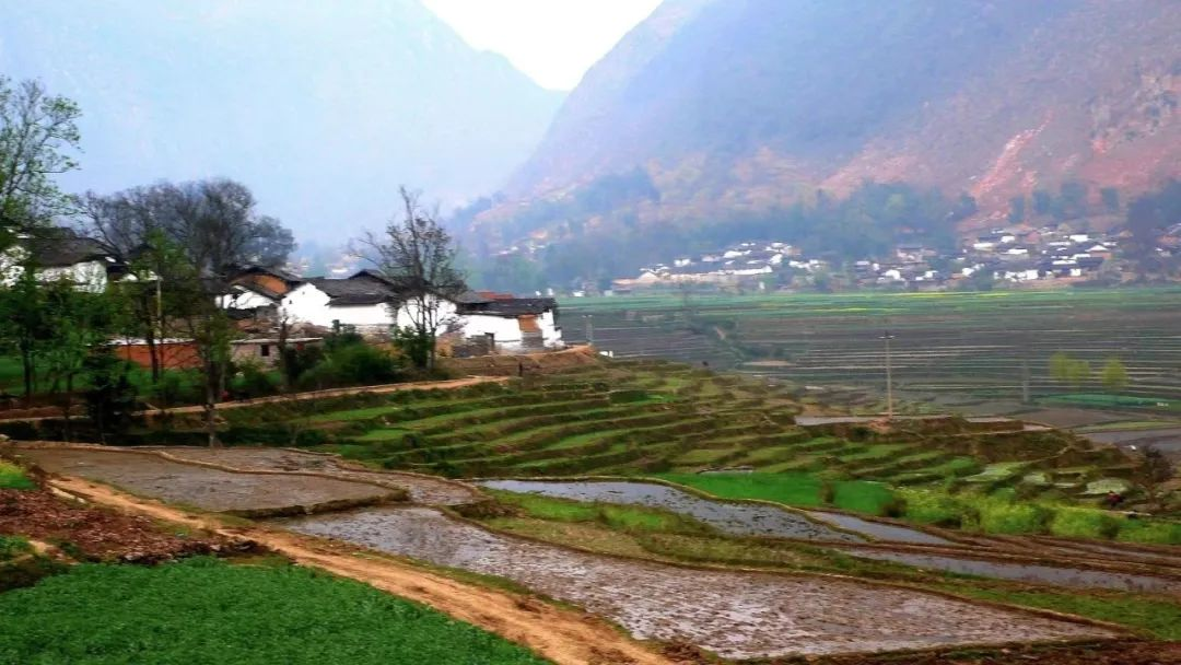 濟寧：農(nóng)村污水治理全域統(tǒng)籌，提升治理水平