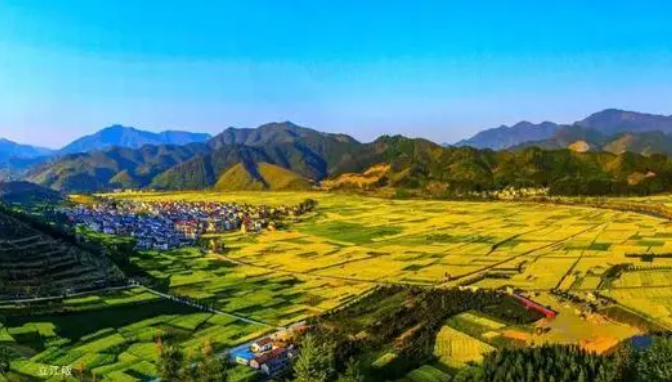 數字鄉(xiāng)村建設是推動鄉(xiāng)村全面振興的重要突破口
