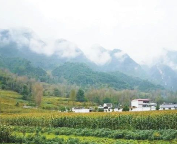 甘肅?。恨r(nóng)村生活污水治理（管控）率達(dá)到29.47%以上