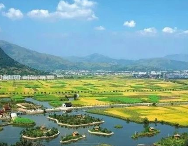山東印發(fā)實(shí)施意見(jiàn)，大力發(fā)展現(xiàn)代設(shè)施農(nóng)業(yè)