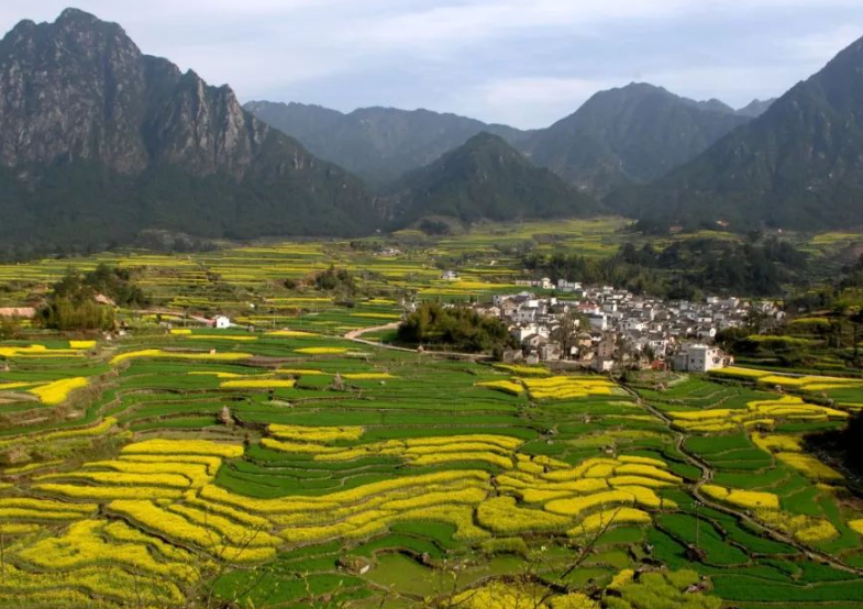 農(nóng)業(yè)農(nóng)村部有關(guān)負(fù)責(zé)人就落實(shí)《國(guó)務(wù)院辦公廳關(guān)于踐行大食物觀構(gòu)建多元化食物供給體系的意見》答記者問