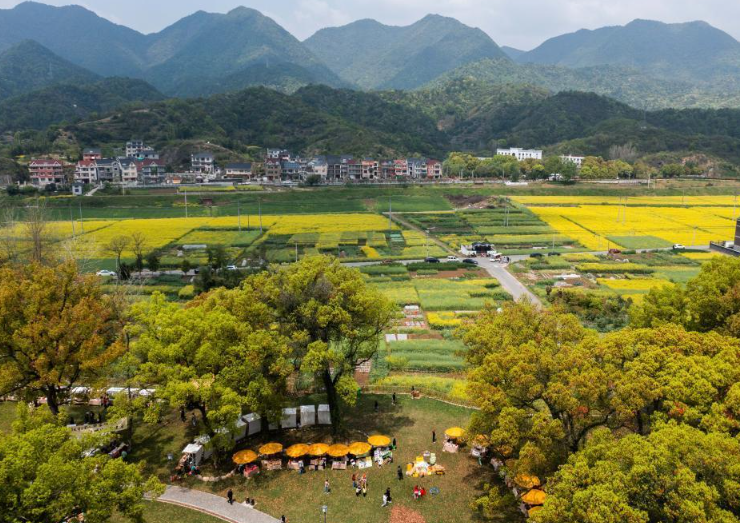 全國(guó)首部！浙江為“千萬工程”立法