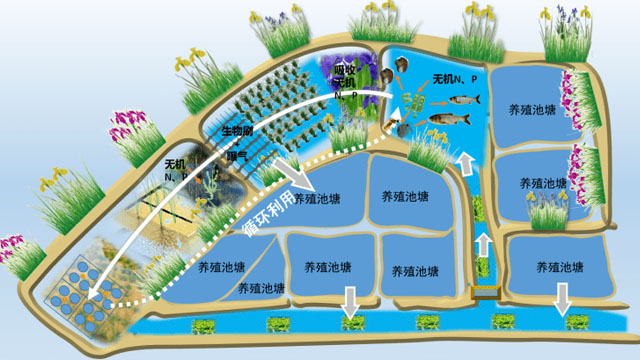 設施漁業(yè)